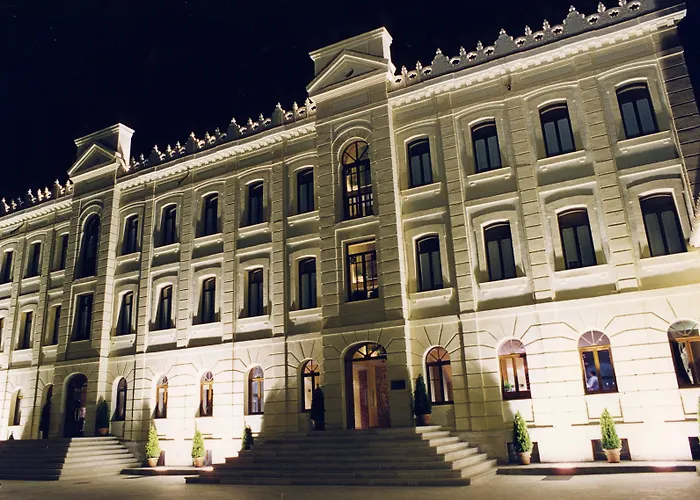 Ribera Del Duero Hotel 3*